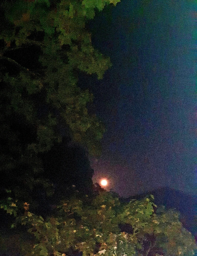 Bild hochgeladen von Nadine