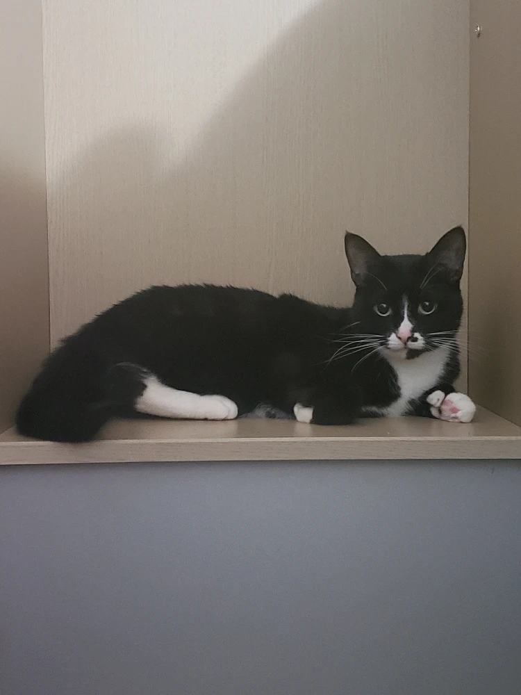 Image uploaded by Luna