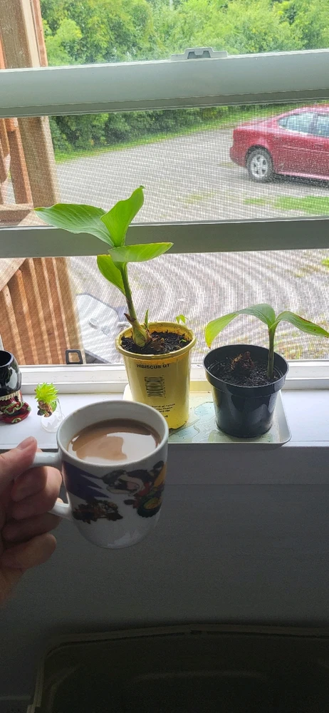 Image uploaded by Brandon