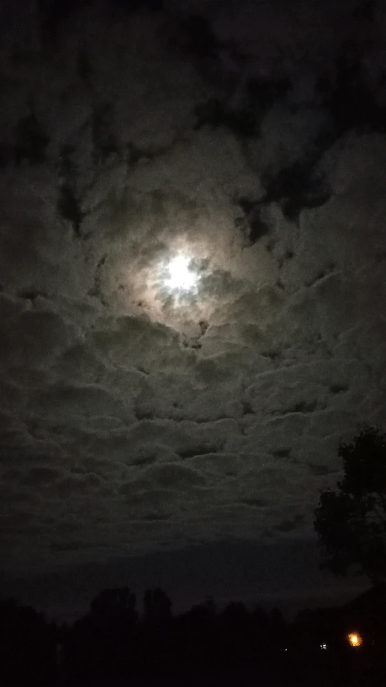 Image uploaded by Sage