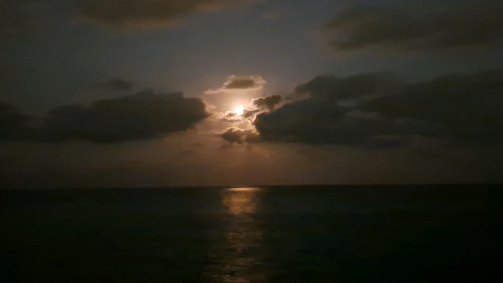 Imatge pujada per JORDI