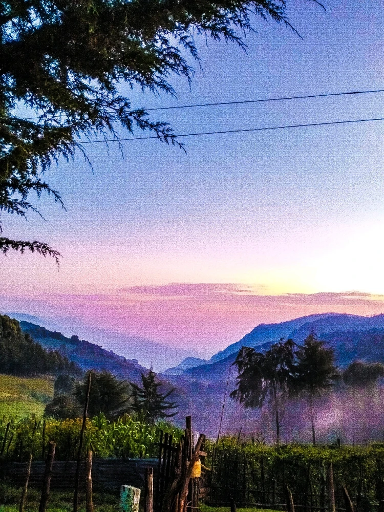 Image uploaded by Dimmo