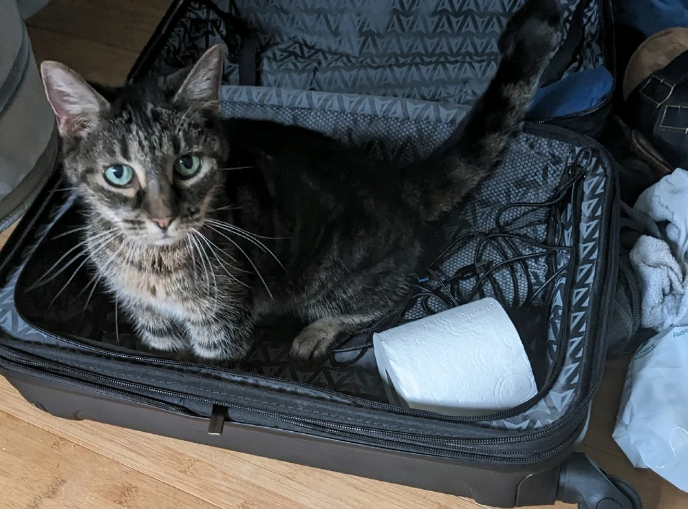 Image uploaded by Harrison Faulkner