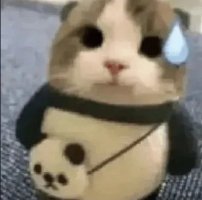 Immagine caricata da Nicola