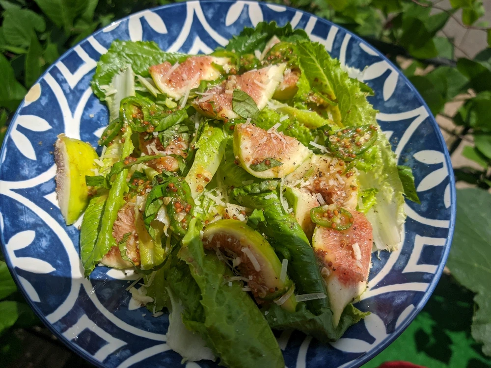 Image uploaded by Faisal Sarker