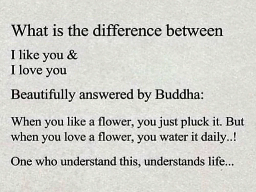 Image uploaded by PP