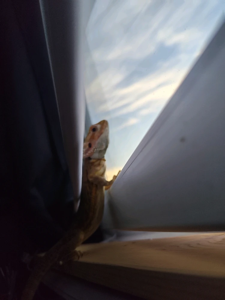 Bild hochgeladen von Patrick