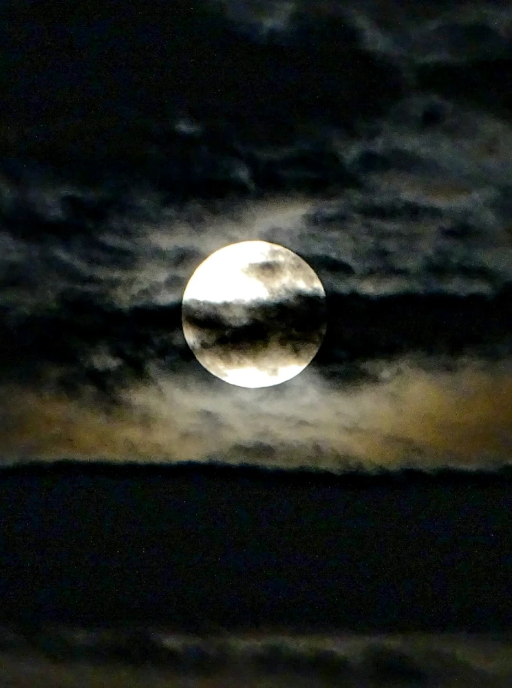 Immagine caricata da Chiara