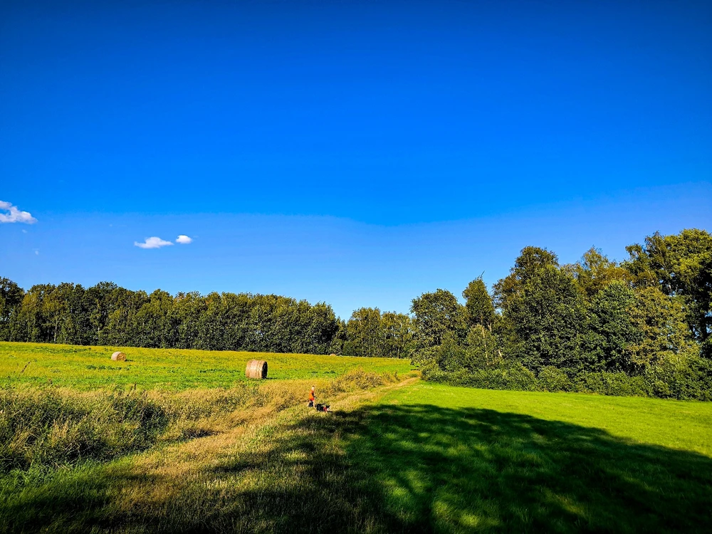 Obrázek nahrál Helenka - Wensdy