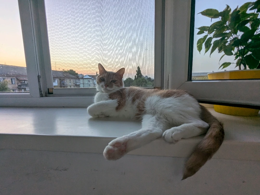 Зображення завантажив Карина