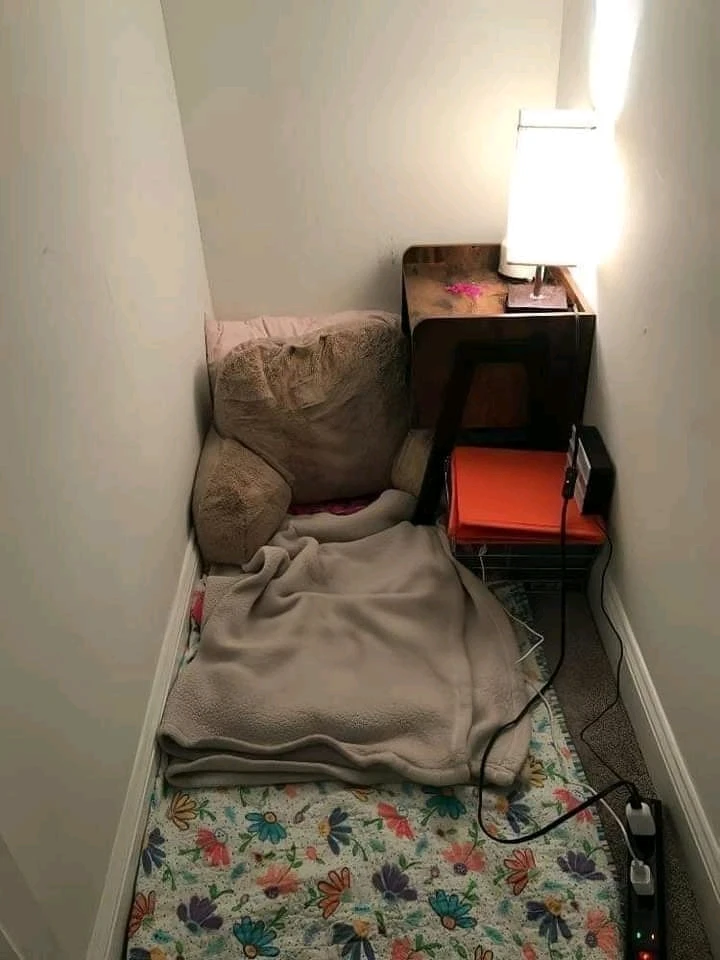 Image uploaded by Snigdha ๐งฟ