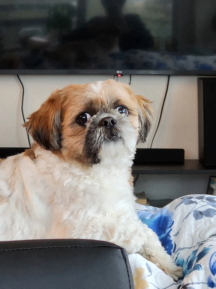 Image uploaded by Ray