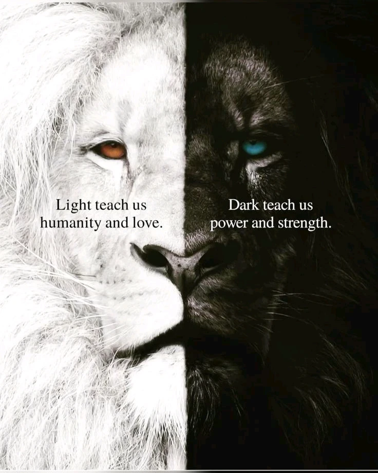 Image uploaded by Lia