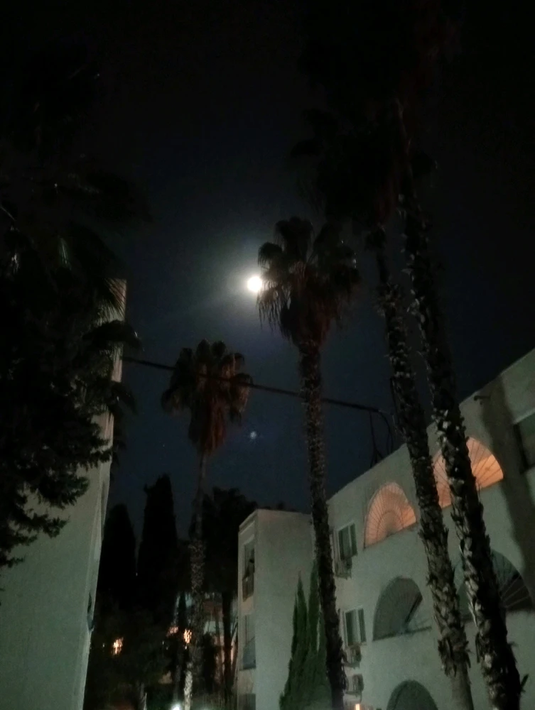 Gökhan tarafından yüklenen görsel