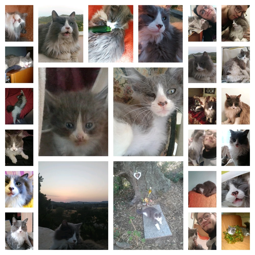 Immagine caricata da Nanaki