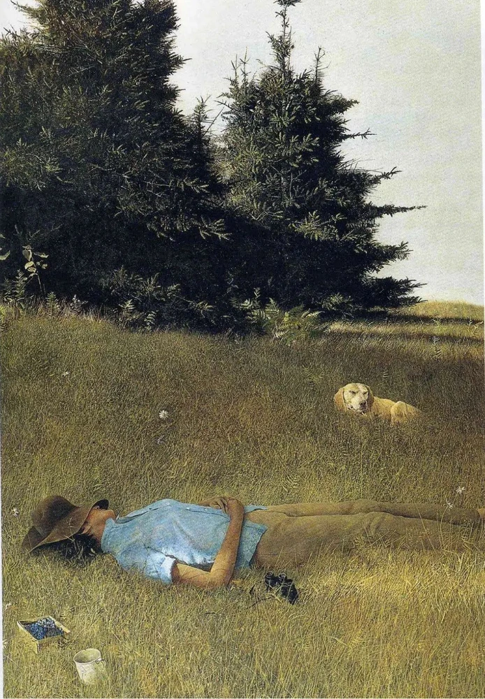 Obrázek nahrál Irónia