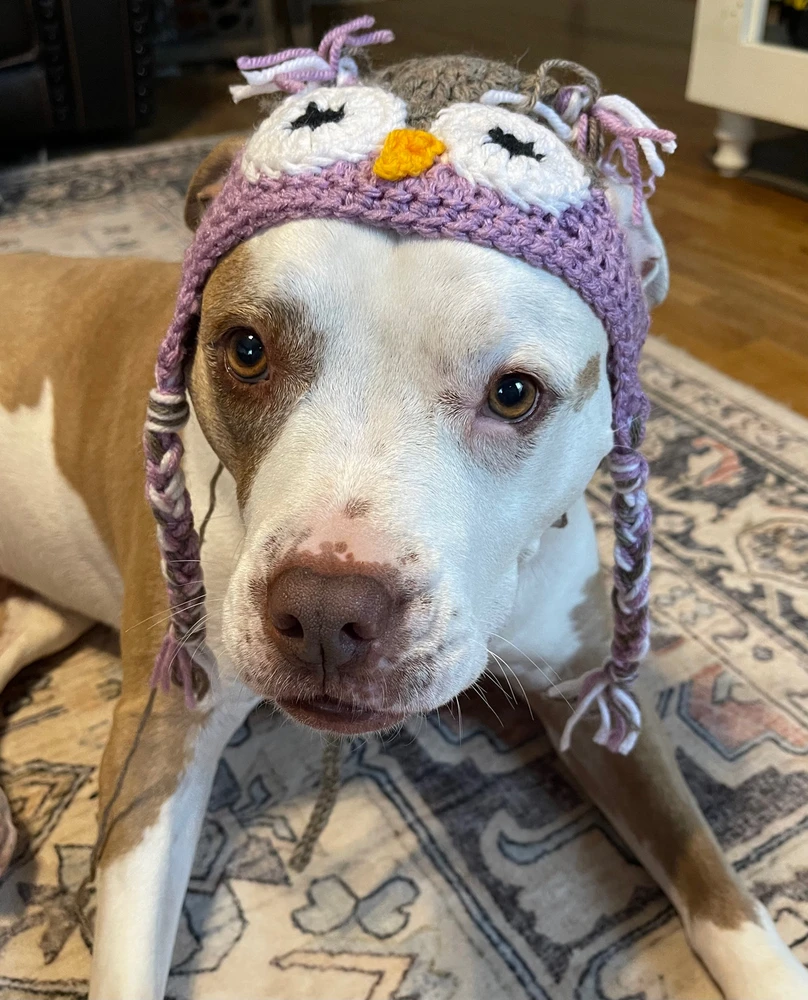 Afbeelding geüpload door L