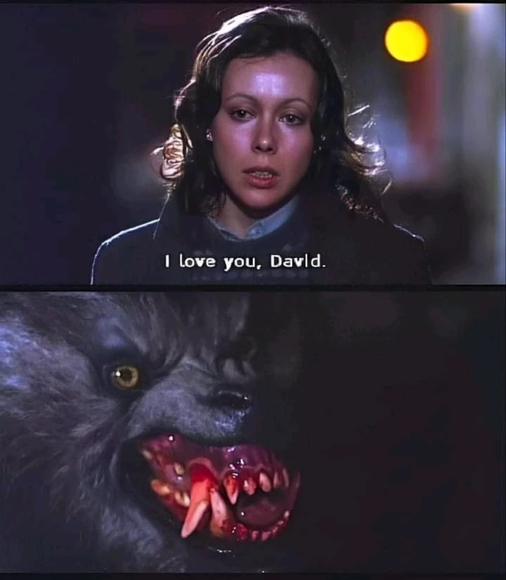 Semih mutlu gemici tarafından yüklenen görsel