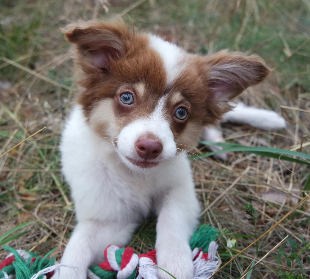 Zdjęcie dodane przez czarnyrobert