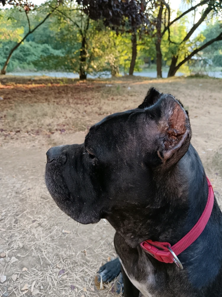 Immagine caricata da Manuel