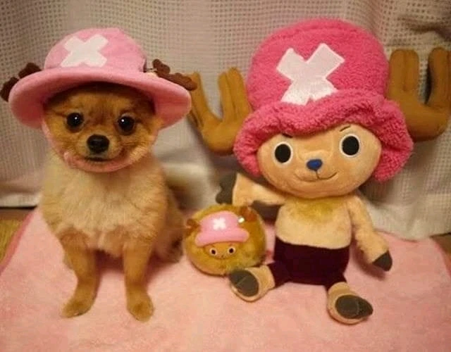 Immagine caricata da Walessio