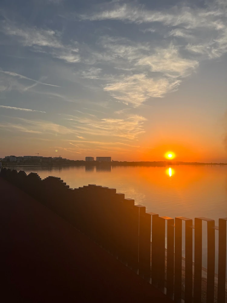 Imagine încărcată de Alexa