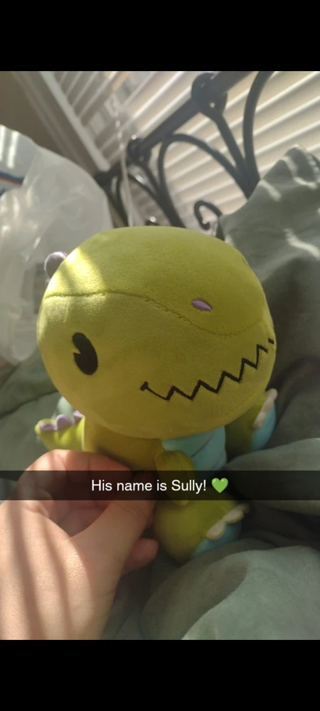 由Lily上传的图片