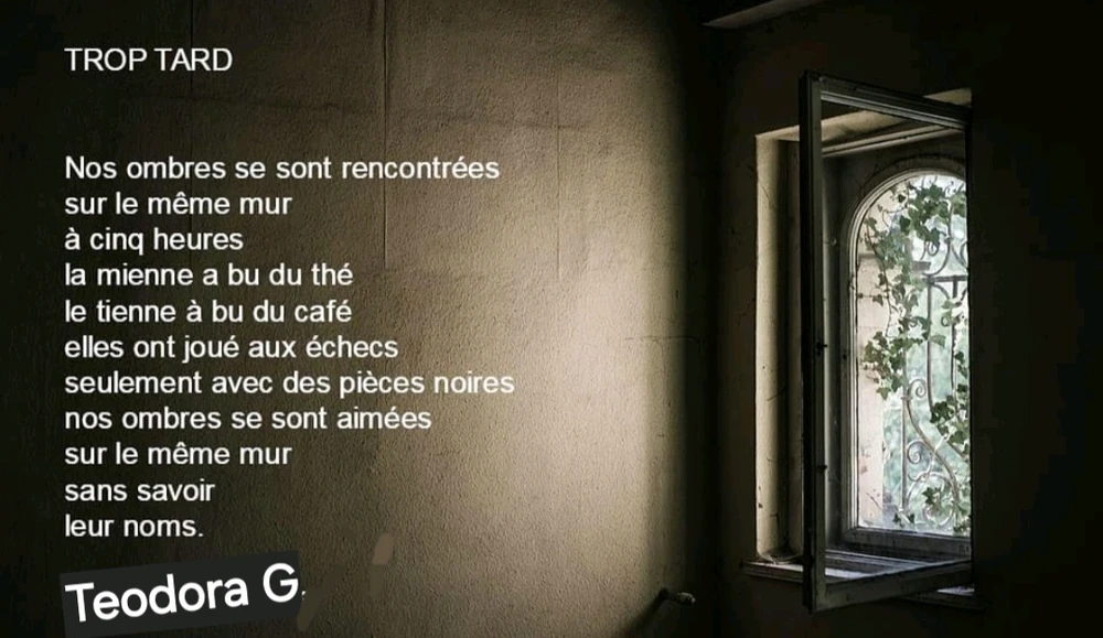 Image ajoutée par Teodora