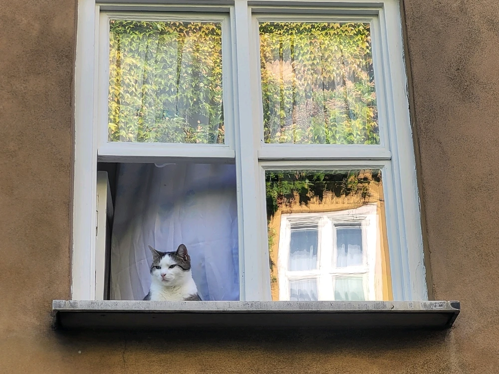 Bild hochgeladen von Marie