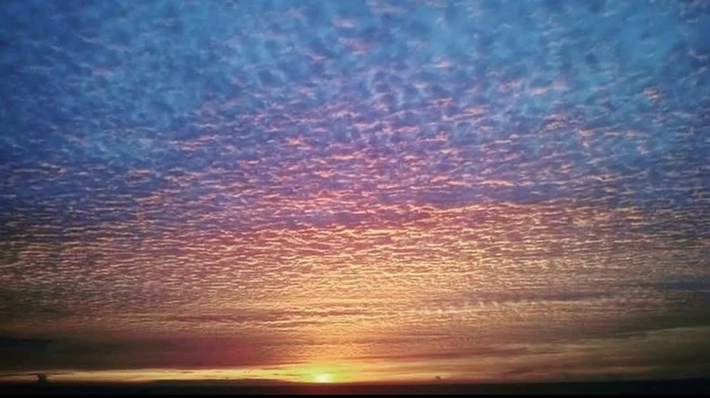 Image uploaded by Shukra