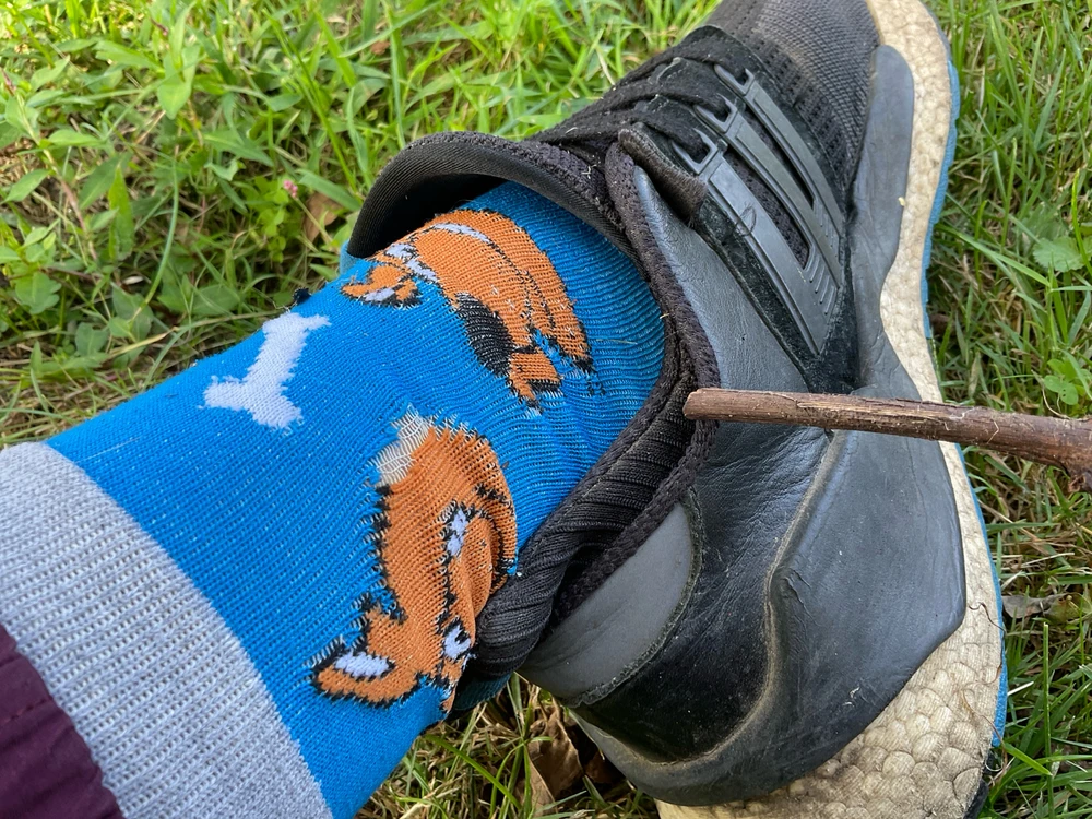 Image uploaded by Catcrying in espanol