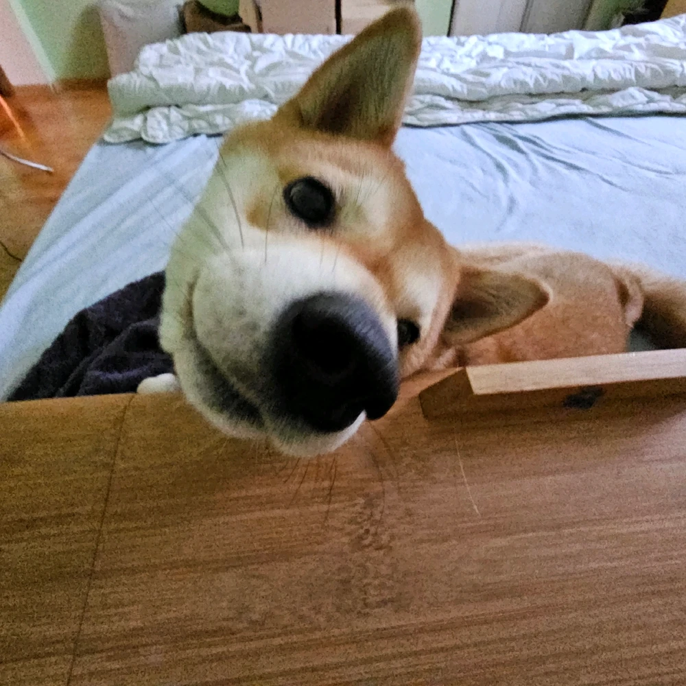 Зображення завантажив Ліля