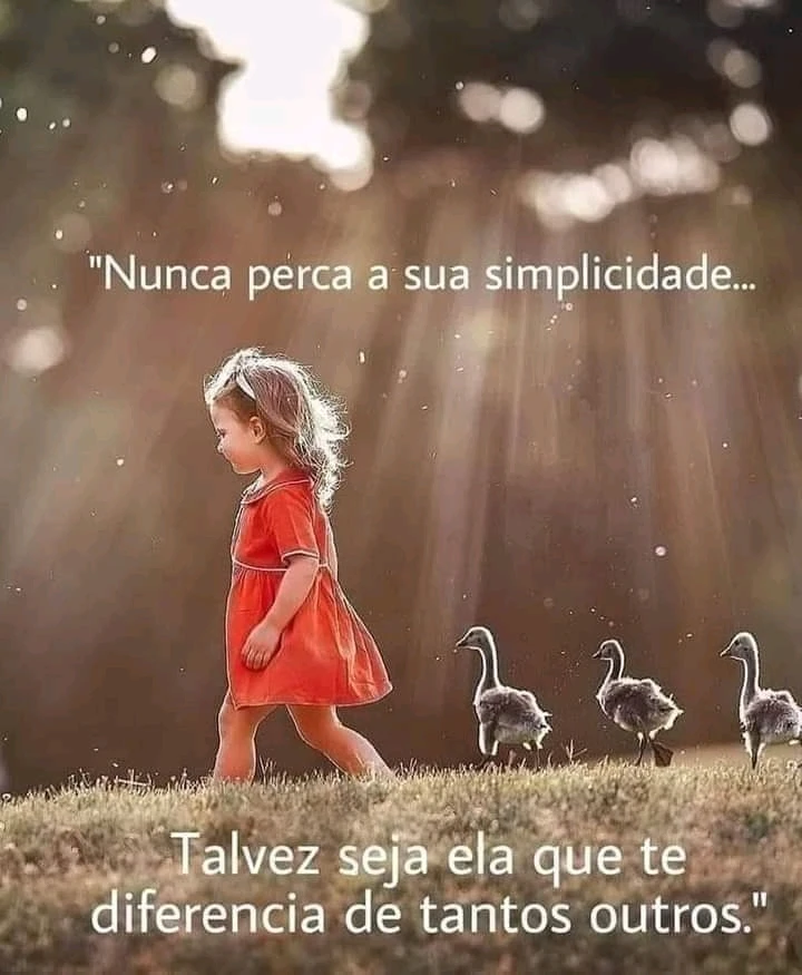 Imagem enviada por 𝕊𝕠𝕗𝕚𝕒