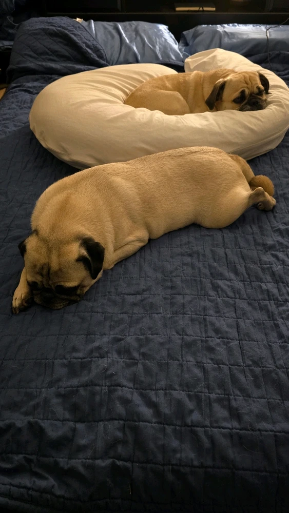 Image uploaded by Angel