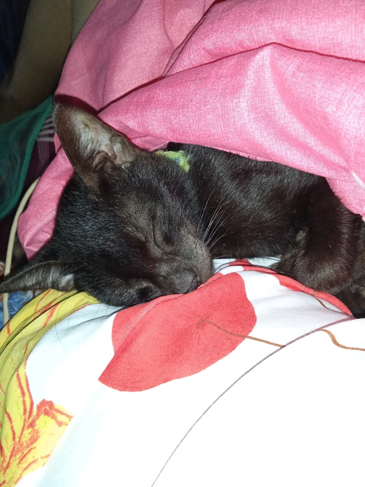 Image uploaded by Matilde