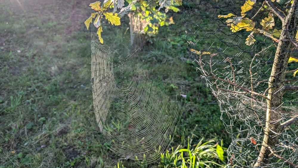 Obrázek nahrál Matěj