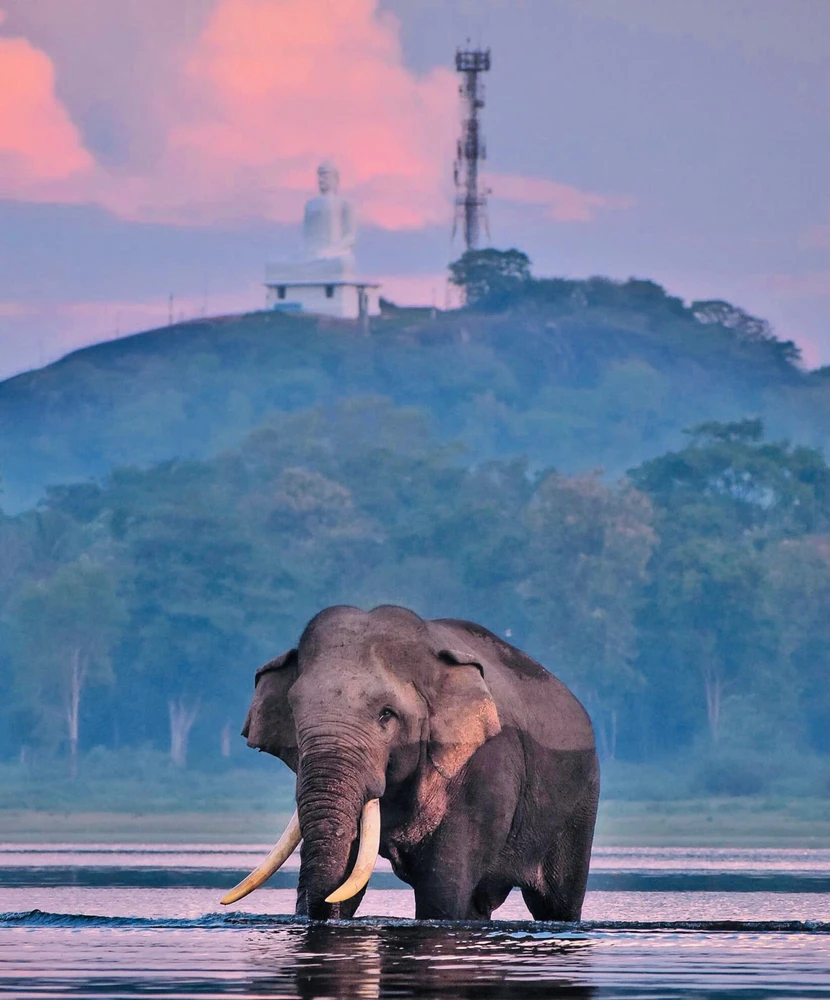 Image uploaded by Nico