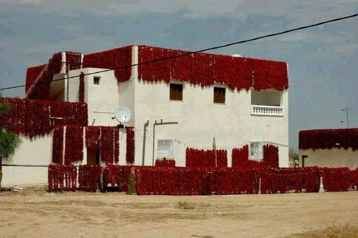 Immagine caricata da Khemais