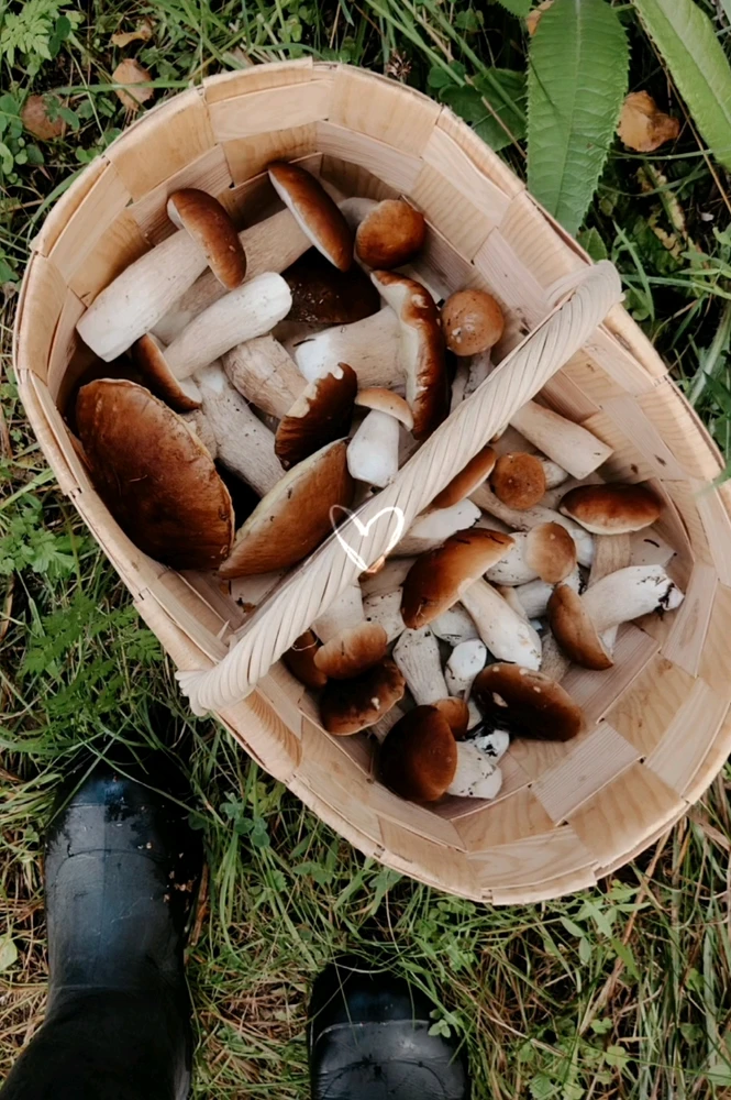 Image uploaded by Elina