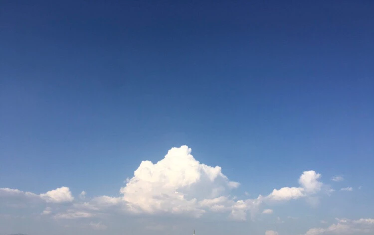 Image uploaded by Tarık Serfice