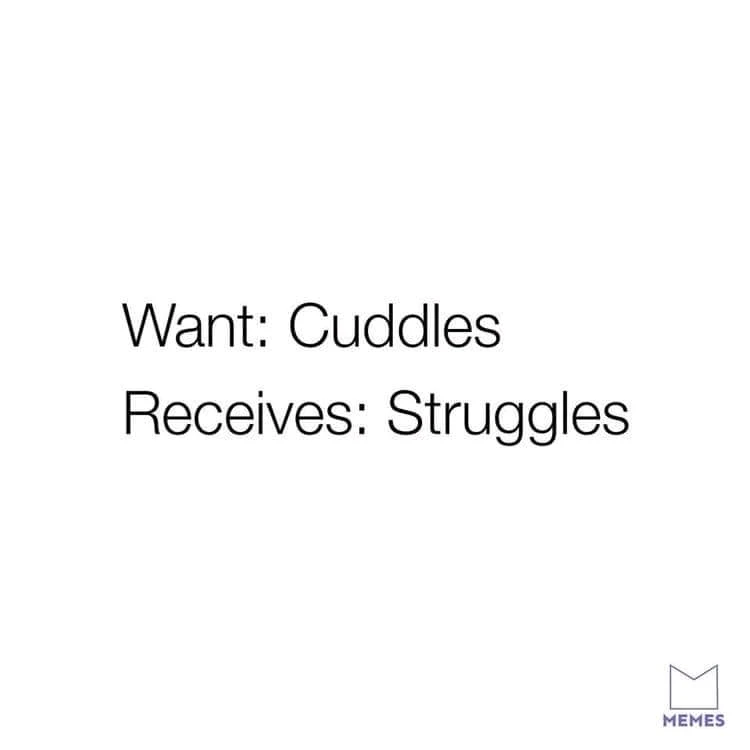 Image uploaded by Marrie Soul