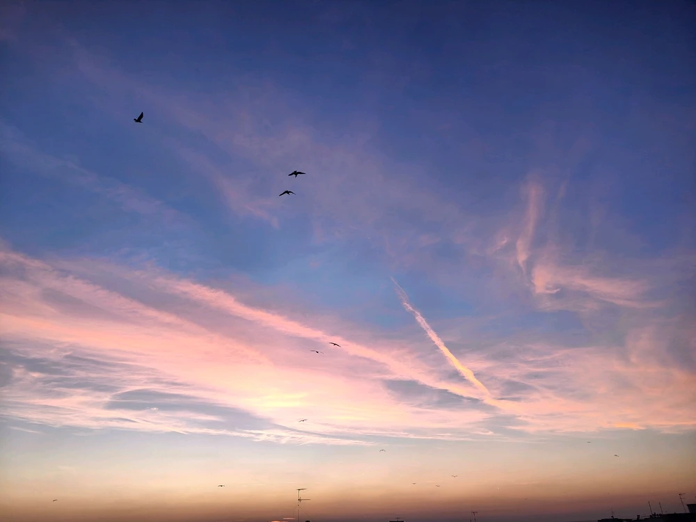 Immagine caricata da Marco