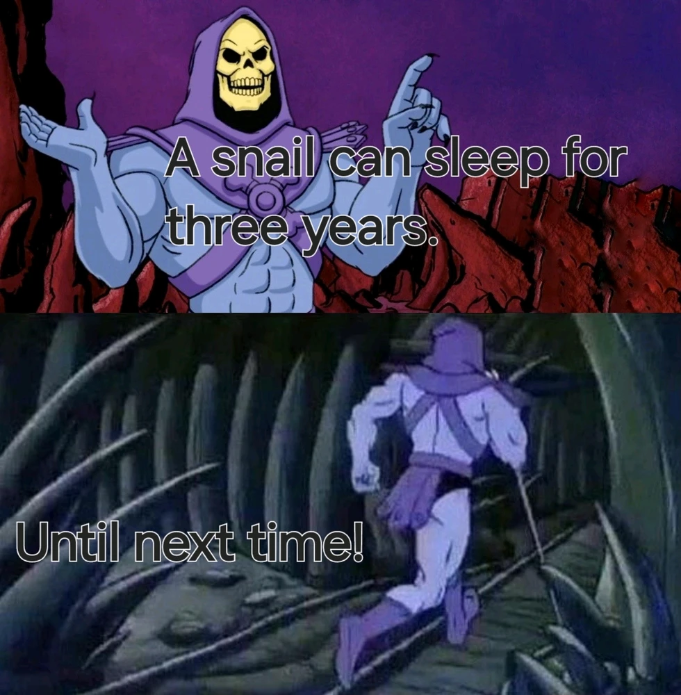 Image uploaded by Derek