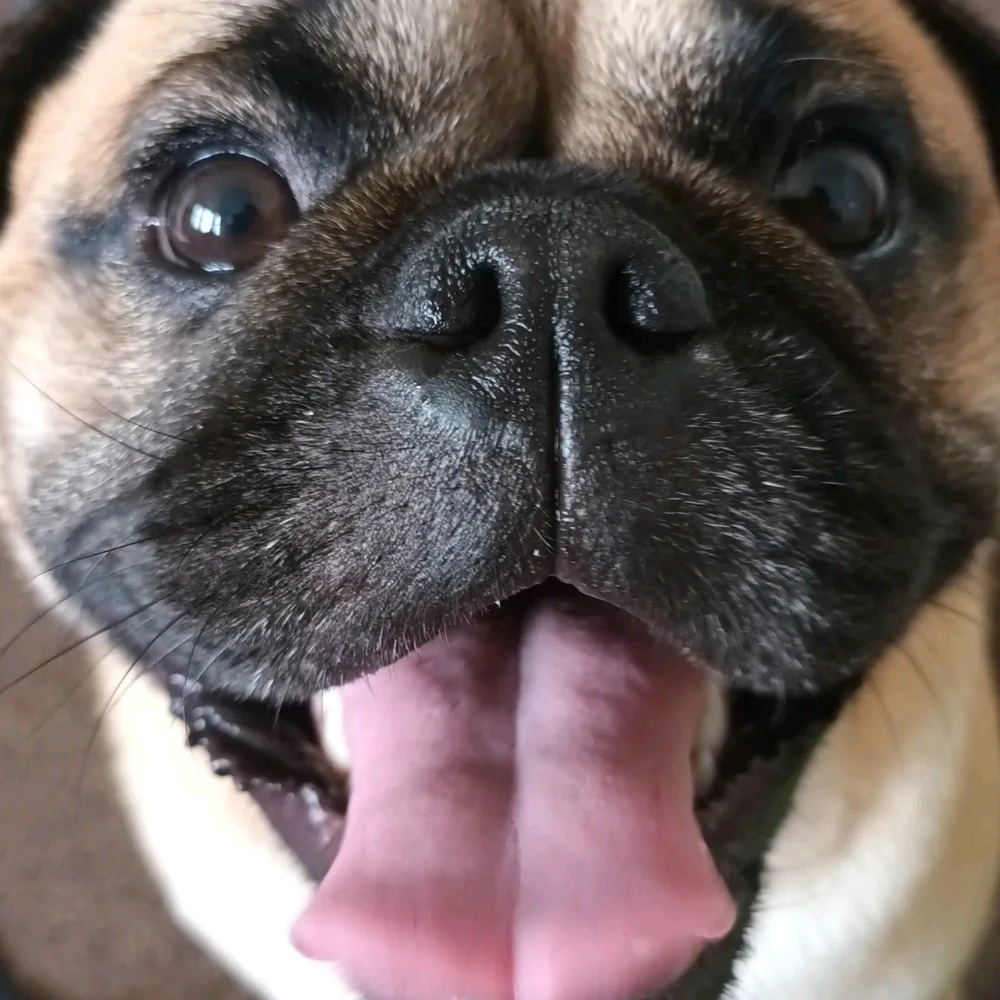 Image uploaded by River