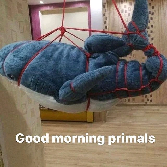 Bild hochgeladen von Nektarine