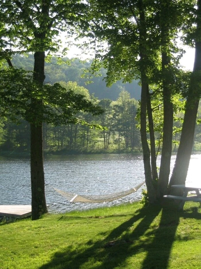 Image uploaded by Camilly