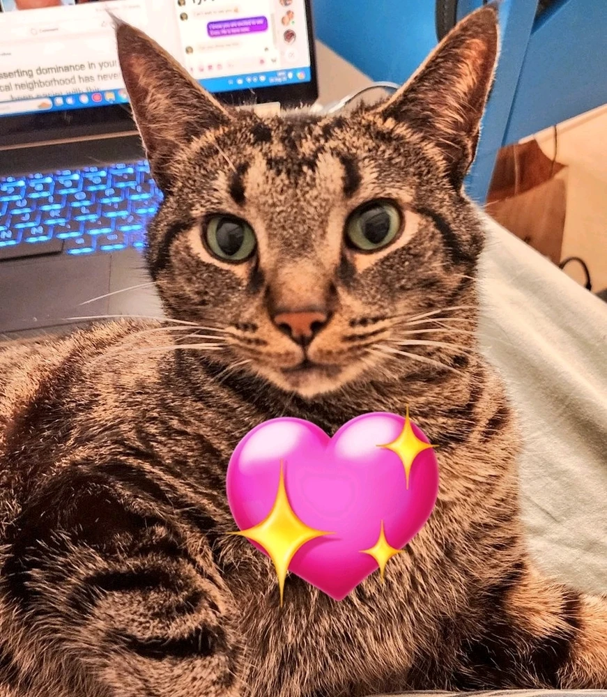 Image uploaded by Brandon