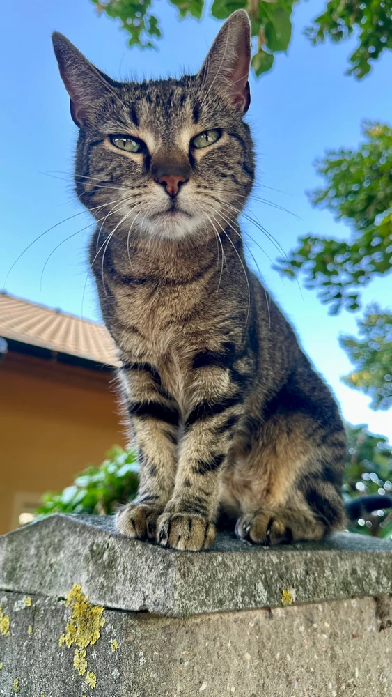 Obrázek nahrál Jakub
