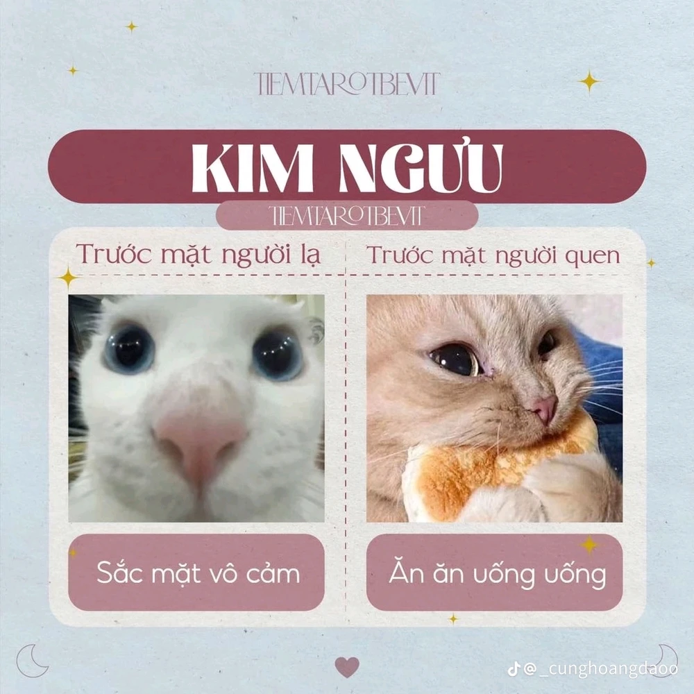 Ảnh do Bọt tải lên