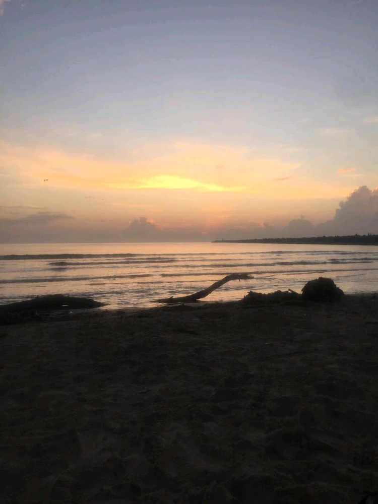 Image uploaded by Ali Pimentel